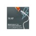 Дата кабель USB 2.0 AM to USB-C 1.2m Promate (xcord-ac.white)