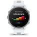 Смарт-годинник Garmin Forerunner 170, GPS, Whitestone/Cloud Blue, GPS смарт-годинник (010-03920-01)