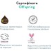 Підгузки Offspring трусики Розмір XXL (15-23 кг) 24 шт, Підводний світ (9355465009077) (DP-OI-FAP-XXL24P-AQT)