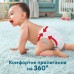 Підгузки Pampers Premium Care Pants Junior Розмір 5 (12-17 кг) 34 шт (8001090759870)