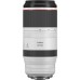 Об'єктив Canon RF 100-500mm f/4.5-7.1 L IS USM (4112C005)