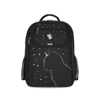Рюкзак шкільний Bagland BL Відмінник 20 л. Чорний 1455 (00058070) (1123921615)