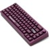 Клавіатура Thunderobot VIC68 Gateron Magnetic Jade Switch USB UA Purple (6932066317201)