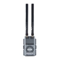 Передавач (TX) RadioMaster Nomad Dual 1-watt Gemini Xrossband ExpressLRS Module (N-4)