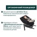 Автокрісло Chicco Everone i-Size група 0+/1/2/3 (87148.18)