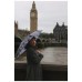 Парасоля Fulton L501-042311 Tiny-2 London Sketch (L501-042311)