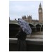 Парасоля Fulton L501-042311 Tiny-2 London Sketch (L501-042311)