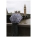 Парасоля Fulton L501-042311 Tiny-2 London Sketch (L501-042311)