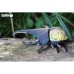 Пазл Eugy 3D Зоопарк Жук-геркулес (XEG-112)