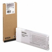 Картридж Epson St Pro 4800/4880 light black (C13T606700)