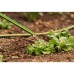 Шланг для поливу 2E AquaFlex Emerald Pro, 3/4", 20м, 4 шари, 20бар, -10…+60°C, зрошувач, 2 конектори, адаптер (2E-GHE34ED20)