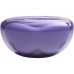 Навушники JBL Tune Flex 2 Ghost Purple (JBLTFLEX2GMAE)