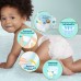 Підгузки Pampers Premium Care Розмір 1 (2-5 кг) 26 шт (8001841104614)
