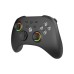 Геймпад GamePro GPX13B 2.4G/BT 5.1/USB/PC/iOS/Android RGB Black (GPX13B)