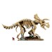 Конструктор LEGO Jurassic Park Скам'янілості динозаврів: Трицератопс (77985)