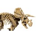 Конструктор LEGO Jurassic Park Скам'янілості динозаврів: Трицератопс (77985)