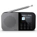 Портативний радіоприймач Sharp DR-P520 Grey (DR-P520GY)