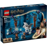 Конструктор LEGO Harry Potter Заборонений ліс: Магічні істоти 172 деталі (76432)