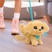 Інтерактивна іграшка Furreal серії Wag-a-Lots – Золотистий ретривер (28162)