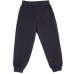 Спортивний костюм дитячий Smile флисовий (3618-122G-gray)