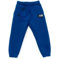 Штани дитячі Cloise спортивні флісові (CL0154024-104G-blue)