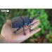 Пазл Eugy 3D Зоопарк Жук-носоріг (XEG-113)