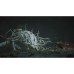 Гра Sony Black Myth: Wukong, BD диск (5056635611864)