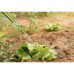 Шланг для поливу 2E AquaFlex Emerald Pro, 3/4", 30м, 4 шари, 20бар, -10…+60°C, зрошувач, 2 конектори, адаптер (2E-GHE34ED30)
