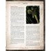 Настільна гра Geekach Games Поклик Ктулху. Набір Вартового (Call of Cthulhu Keeper Screen Pack) (укр.) (GKRP0021)