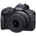 Цифровий фотоапарат Canon EOS R100 + 18-45 IS STM + 75-300 IS STM (6052C121)