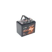 Батарея LiFePo4 Litime 25.6V 50Аh 1280Wh (L24V50-50-TM-BT-8-A70)