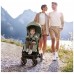 Коляска Chicco Dolomiti Сіра (8058664193240) (87163.12)