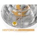 Конструктор Metal Time Колекційна модель Unity Wings Eagle Golden Armor Crystal Edition (MT101SWRSK-GA/READY)