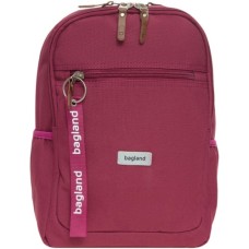 Рюкзак шкільний Bagland Young Вишня 13 л (0051066) (848815558)