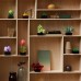 Конструктор LEGO Botanicals Сукуленти (10309-)