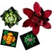 Конструктор LEGO Botanicals Сукуленти (10309-)