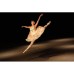 Об'єктив Sony 28-70mm f/2.0 GM for NEX FF (SEL2870GM.SYX)