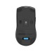 Мишка A4Tech FB50CS Plus Wireless/Bluetooth Black (4711421002899)