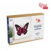 Картина по номерам Rosa Talent 3D Метелик 4 МДФ ґрунтоване, 4 шари, 17х17 см (4823098529033)