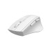 Мишка A4Tech FG30S Grey+White (4711421947787)