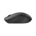 Мишка A4Tech FB10CS Wireless/Bluetooth Stone Black (4711421967594)