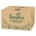 Підгузки Pampers Premium Care Розмір 5 (11-16 кг) 132 шт (8006530223478)