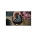 Мишка Logitech Mobi Fold for Business Wireless/Bluetooth Graphite (910-007605)