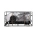 Електроскутер Atlas Spider Box 1500W Grey (4002)