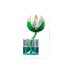 Конструктор LEGO Botanicals Латаття (11511)