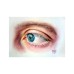 Пастель Cretacolor Fine Art Pastel олівці 24 кольори (9002592470248)