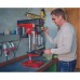 Свердлильний верстат Einhell TE-BD 550 E, 550Вт, 450-2500 об/хв, 21.2кг (4250690)