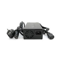 Мережевий зарядний пристрій для АКБ Voltronic LiFePO4 12V(14.6V),4S,10A (YT-1210-4S-C13)