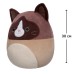 М'яка іграшка Squishmallows Кіт Вудворд 30 см (SQCR05423)