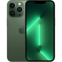 Мобільний телефон Apple iPhone 13 Pro 1Tb Alpine Green (Grade B) USED (iP13Pr1TAlp_B)